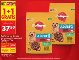 Biedronka Sucha karma dla psa z wołowiną i warzywami Pedigree Adult oferta