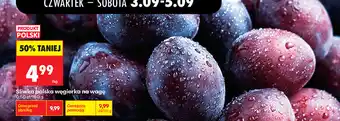 Biedronka Śliwka polska węgierka na wagę oferta