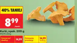 Biedronka Kurki, opak oferta