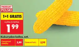 Biedronka Kukurydza kolba oferta
