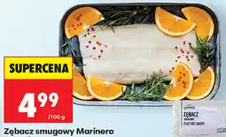 Biedronka Zębacz smugowy Marinero oferta