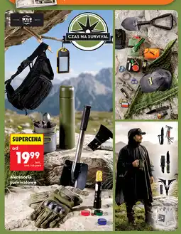 Biedronka Akcesoria survivalowe Wild Trek oferta