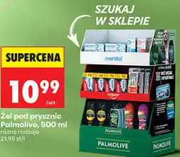 Biedronka Stojak ekspozycyjny Palmolive Colgate Meridol oferta