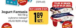 Społem Częstochowa Jogurt Fantasia oferta