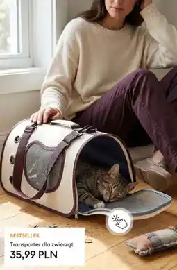 Sinsay Transporter dla zwierząt oferta