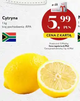 Market Point Cytryny oferta