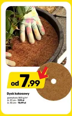 Bricomarche Dysk kokosowy oferta