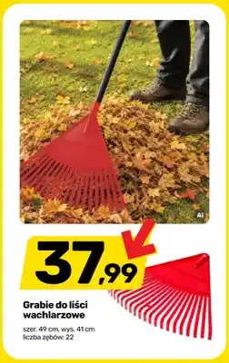 Bricomarche Grabie do liści wachlarzowe oferta