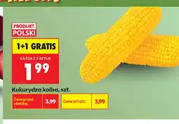 Biedronka Kukurydza kolba polska oferta
