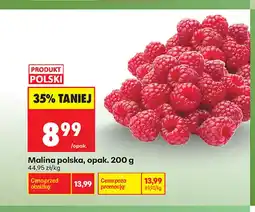 Biedronka Maliny polskie oferta