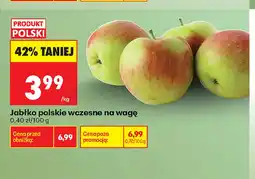 Biedronka Jabłka polskie wczesne oferta