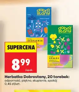 Biedronka Herbatka Dobrostany odporność oferta