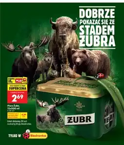 Biedronka Piwo Żubr 12-pak oferta