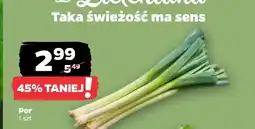 Netto Por MA oferta