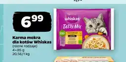 Netto Mokra karma dla kota Whiskas oferta