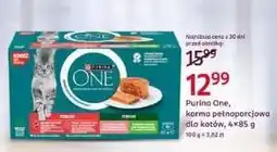 Rossmann PURINA ONE oferta
