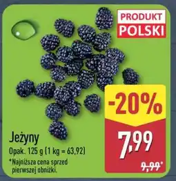 ALDI Jeżyny oferta