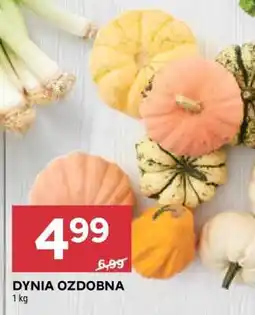 Stokrotka Market Dynia ozdobna oferta