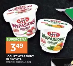 Stokrotka Market Jogurt Wypasiony Mlekovita oferta