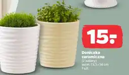 Netto Doniczka ceramiczna oferta