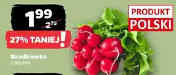 Netto Rzodkiewka oferta