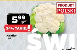 Netto Kalafior oferta