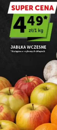 Groszek Jabłka wczesne oferta