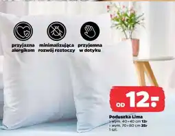 Netto Poduszka Lima oferta