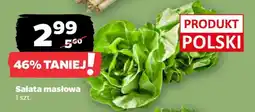Netto Sałata masłowa oferta