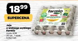 Netto Jaja z wolnego wybiegu Farmio oferta