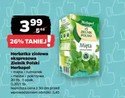 Netto Herbatka ziołowa ekspresowa Zielnik Polski Herbapol oferta