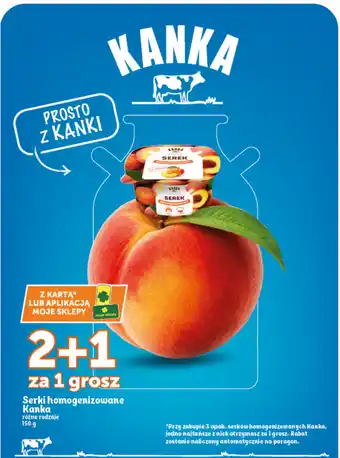 Serki homogenizowane Kanka