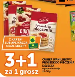 Groszek Cukier wanilinowy, proszek do pieczenia Delecta oferta