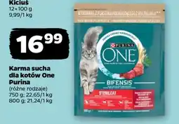 Netto Karma sucha dla kotów One Purina oferta
