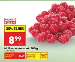 Biedronka Malina polska, opak. 200 g oferta