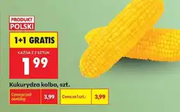 Biedronka Kukurydza kolba szt oferta
