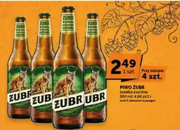 Groszek Piwo Żubr oferta