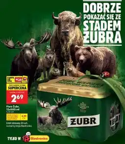 Biedronka Piwo Żubr, 12×500 ml oferta