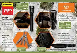 Biedronka Latarka taktyczna LED oferta