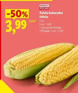 Lidl Polska kukurydza świeża oferta