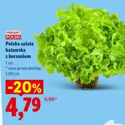 Lidl Polska sałata batavska z korzeniem oferta