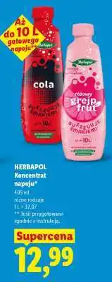 Lidl HERBAPOL Koncentrat napoju oferta