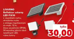 Kaufland LIVARNO Reflektor solarny LED FIX10 oferta