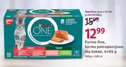 Rossmann Purina One, karma pełnoporcjowa dla kotów oferta