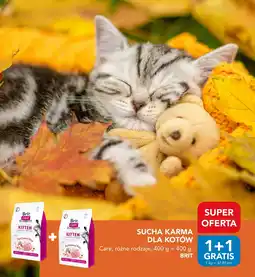 AquaelZOO Sucha karma dla kotów Brit Care oferta