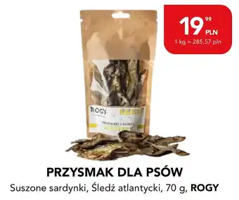 Suszone sardynki, Śledź atlantycki, ROGY
