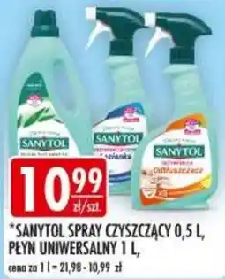 Sklepy Doroty SANYTOL SPRAY CZYSZCZĄCY oferta
