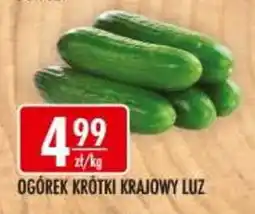 Sklepy Doroty Ogórek Krótki Krajowy Luz oferta