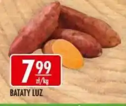 Sklepy Doroty Bataty Luz oferta