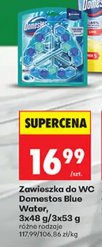 Biedronka Zawieszka do WC Domestos Blue Water oferta